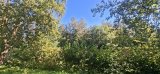 20260826_123311.jpg