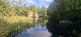 20260828_123533.jpg