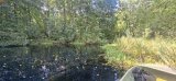 20260828_123537.jpg