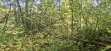 20260828_130920.jpg