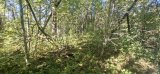 20260828_130923.jpg