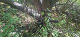 20260828_134235.jpg