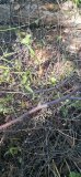20260828_142738.jpg