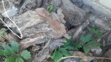 20260905_165503.jpg