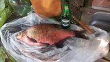 20260905_163258.jpg
