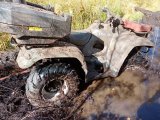 IMG_20260913_130651.jpg