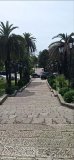 IMG_20260928_114524_795.jpg