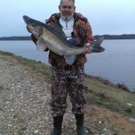 Андрей Гришин