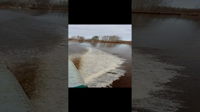 rutube.ru