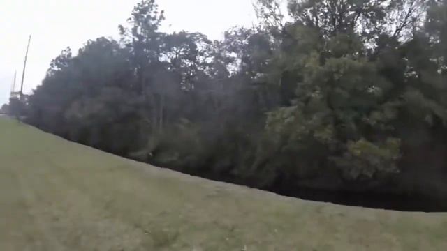 rutube.ru